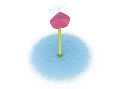 Flor Aspersora